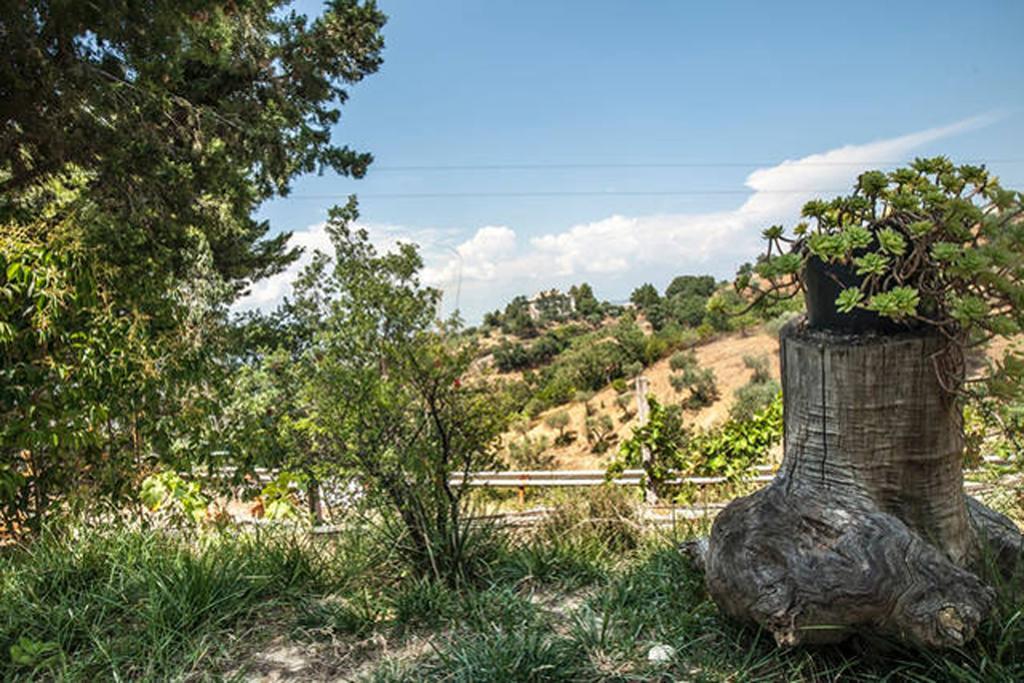 Agriturismo Miracco Atanasio Franco "Il Maniero" Santa Sofia d'Epiro Eksteriør bilde