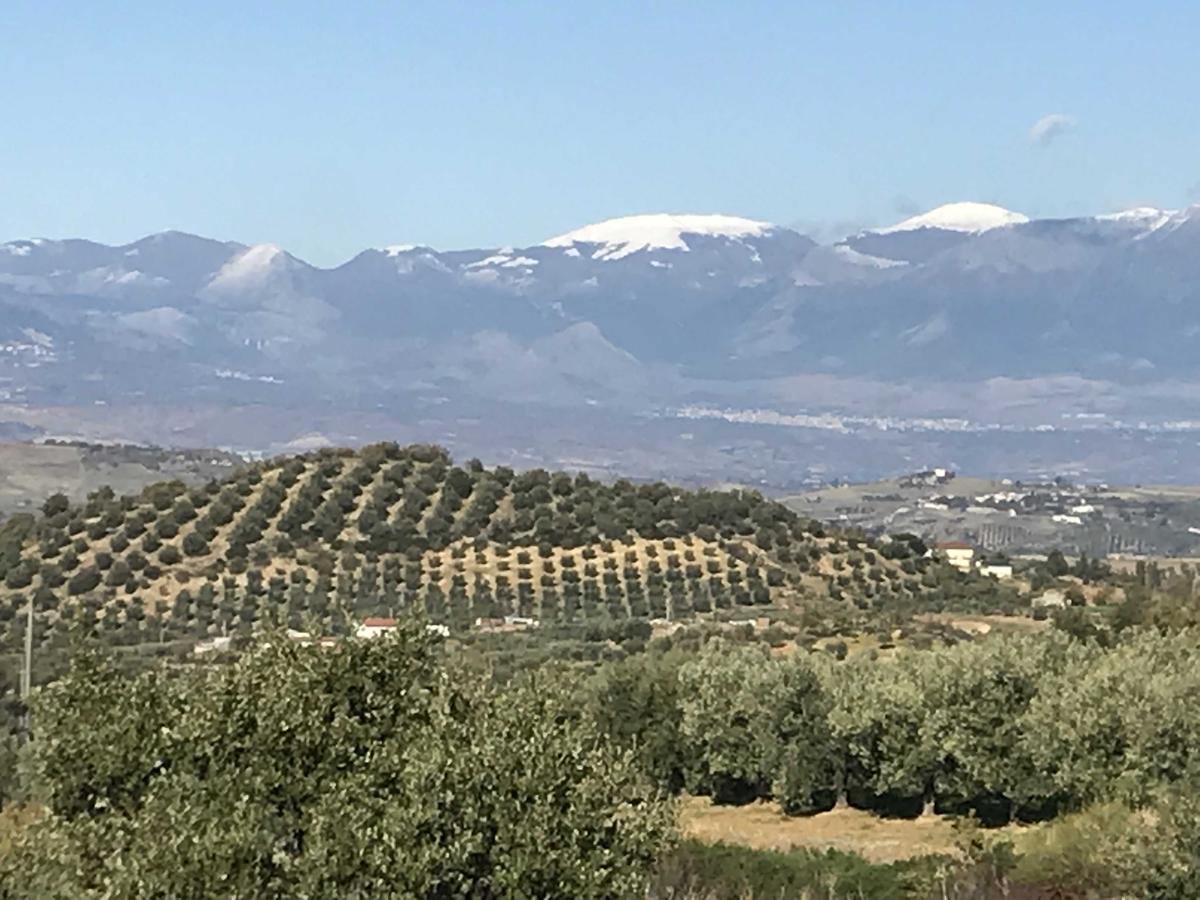 Agriturismo Miracco Atanasio Franco "Il Maniero" Santa Sofia d'Epiro Eksteriør bilde